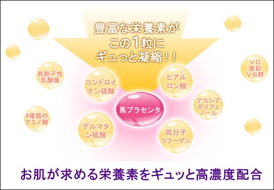 エイジングリペア　美容成分