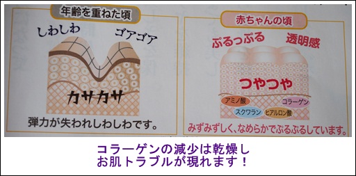 コラーゲンの減少　乾燥